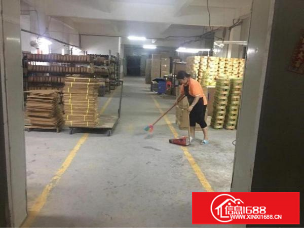 秋长独院钢构厂房低价出租，面积3200，16可谈