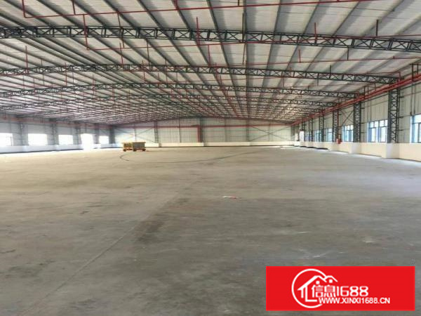 惠阳新圩东风村新出5200平独院钢构厂房滴水7米