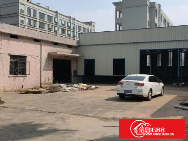 大朗新马莲新出独院单一层钢构厂房3600平滴水7米带牛角