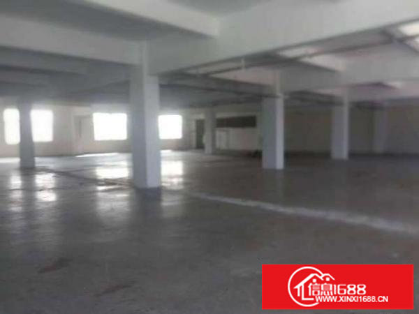 龙华清湖花瓣里新出一楼800平仓库招租