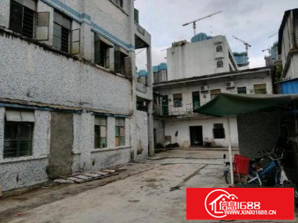 平湖鹅公岭独门独院三层共1800平可冻库食品配送