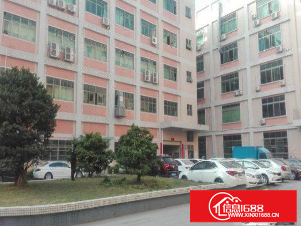 凤岗黄洞标准厂房一楼1200平米招租6米高