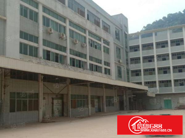 新空出独门独院四层厂房带超大空地9200平米业主直接出租