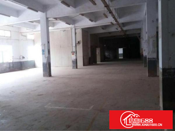 坪山石井工业区原房东独院2400平招租