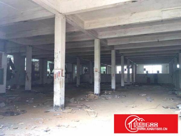 塘厦桥陇1200平方米6米标准一楼厂房，临凤凰岗/深圳/凤岗