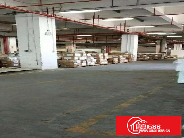 大型独院厂房适合物流电商等产业园出租56000平米