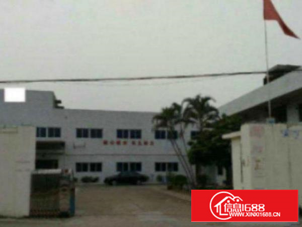 万江环城路外单一层厂房2000平方低价招租，水电齐全