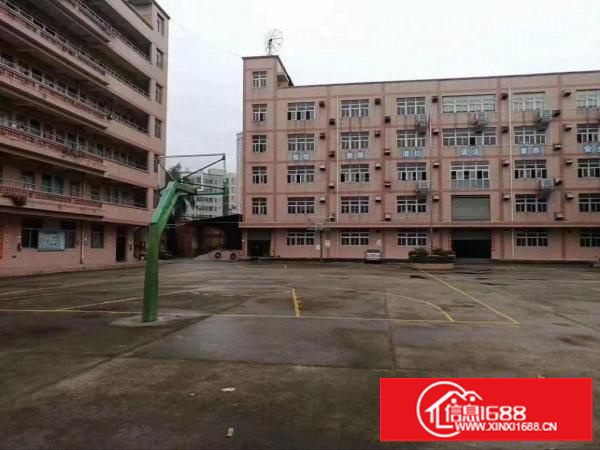 横岗六约1000平方厂房出租