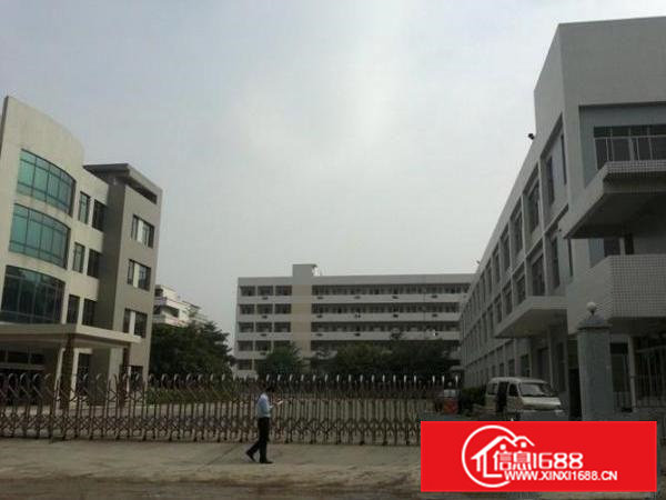 凤岗全新标准厂房500-3600㎡招租