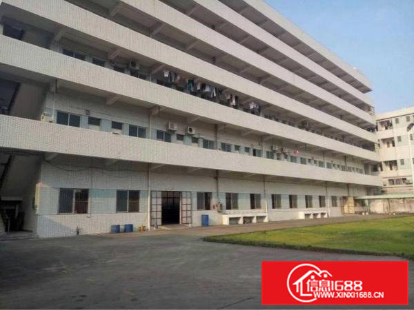 高埗原房东独院厂房招租形象空地大