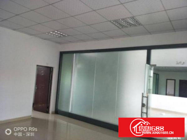 坪山石井田心新出9米高钢构厂房2800平米出租