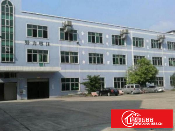 万江工业区标准一楼1100平方招租水电齐全