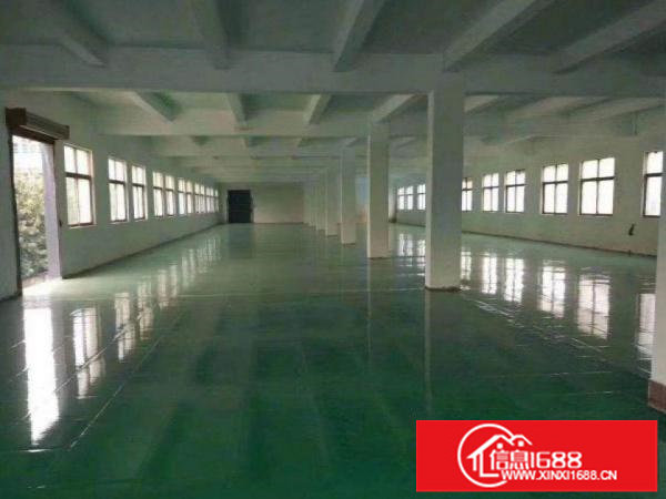 龙岗南约原房东厂房出租一楼6米高1300平可分租