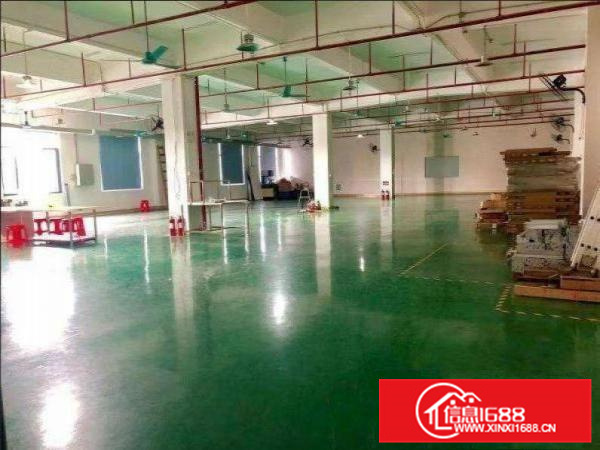 一楼1200平精装修办公室厂房出租