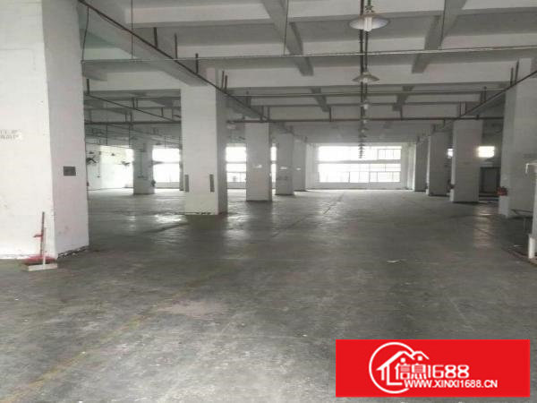 坪山坑梓新出原房东1楼7米高600平标准厂房出租