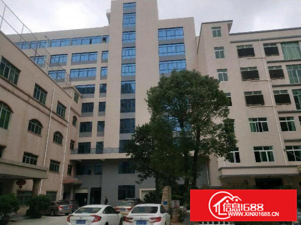 大井头园区厂房，带水电办公室，可拎包入住