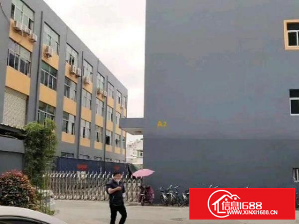 横坑厂房1楼900平方