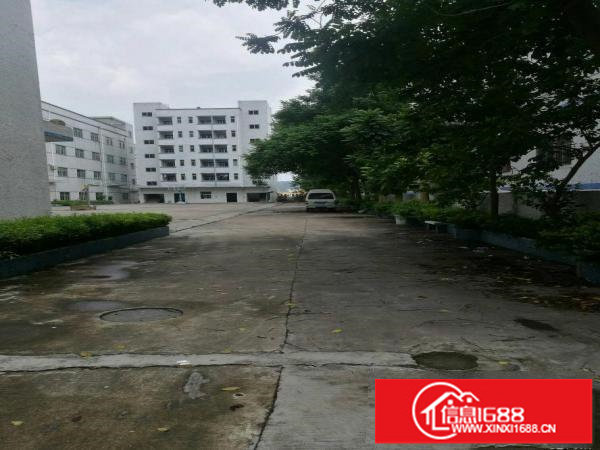 龙岗镇一楼1000平方米招租