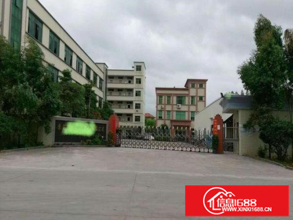 企石新出高大上独院厂房3800平方出租