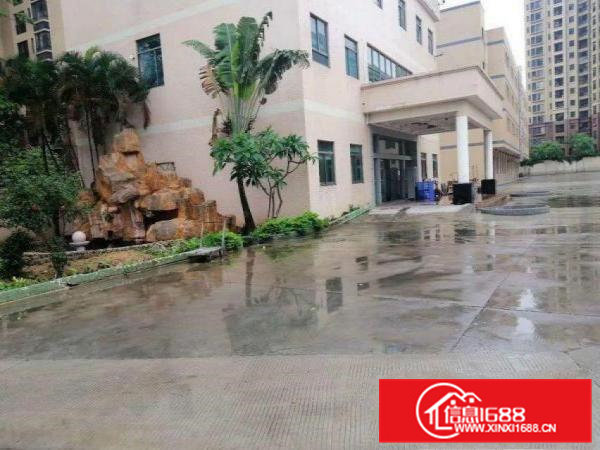 凤岗塘沥标准厂房一楼700平方分租，带牛角现成装修