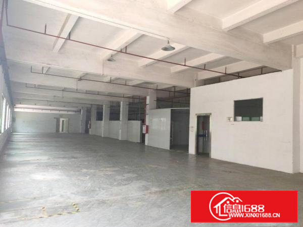 长安乌沙工业区空出标准厂房一楼1300平方带现成办公室