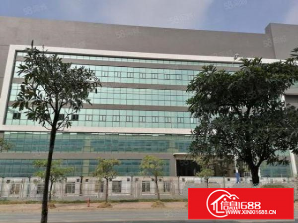 带蒸汽，天然气，玻璃幕墙，顺德杏坛10000平方标准厂房出租