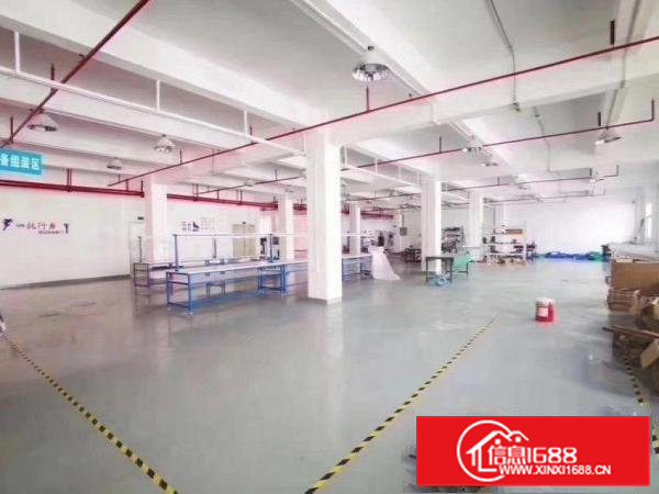 长巷标准小独院厂房三层3800平方