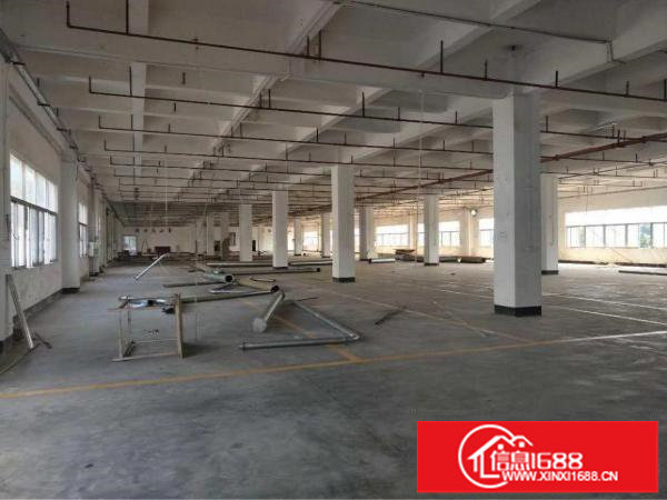 龙岗坪地1000平原房东厂房出租，带装修