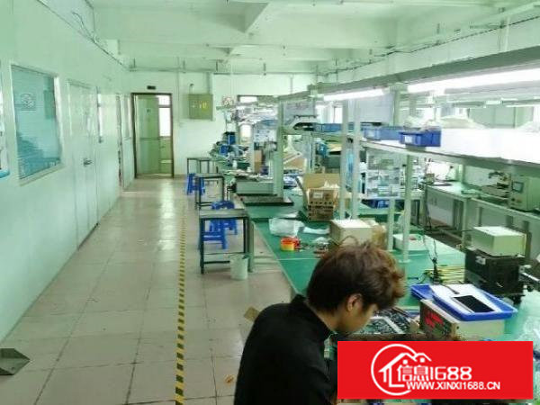 分租，面积230平，另有顶楼花园。看上也可谈整层转让