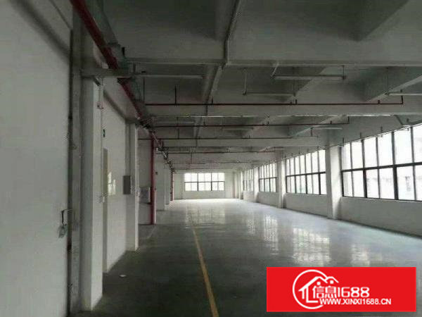 凤岗新厂房单层面积2600平方，可分租