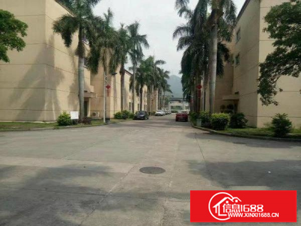 仲恺独院标准厂房15200出租800平方起分租