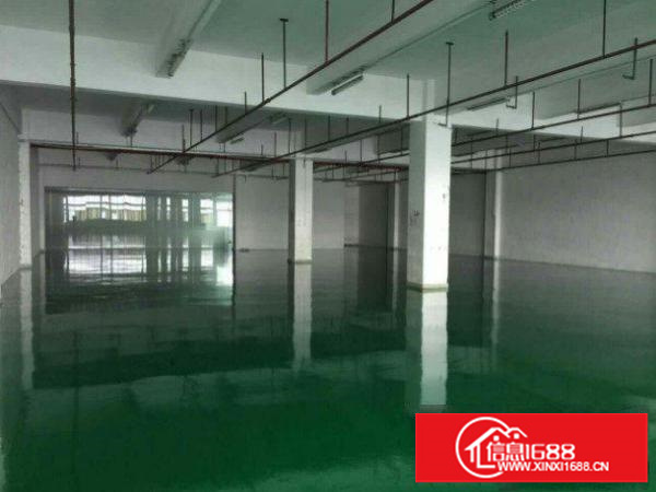 平湖清平高速标准一楼700平方招租带精装修地坪漆