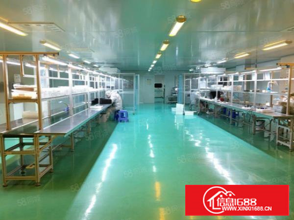 原房东带红本科苑城无尘车间1600平有办公无公摊，可整租分租