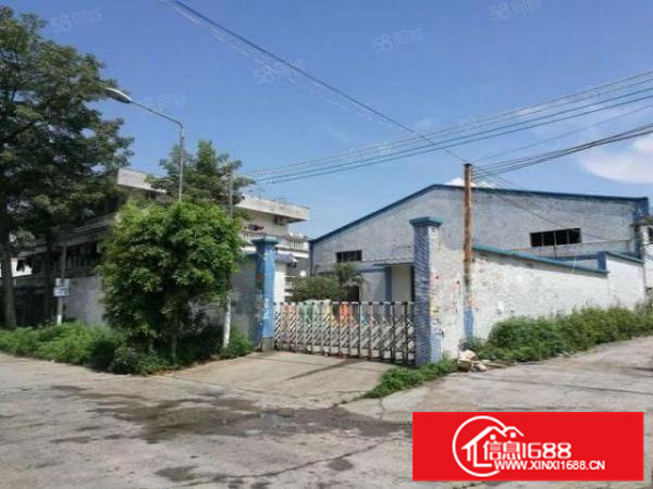 有证,可办环评,北滘独院2350方带办公简易厂,配电大!