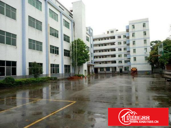 惠阳新圩新出独院10000平形象好空地大可分租