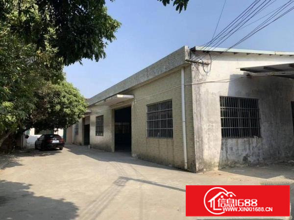 大朗新马莲原房东独院单一层厂房1150平出租，有办公室装修