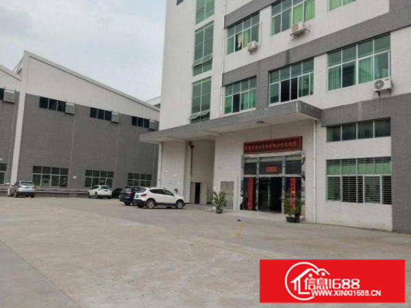 新四标准厂房一楼900平米出租办公室装修空地大