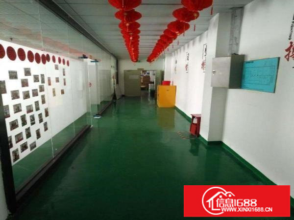 坂田上雪科技园1500平米2楼厂房出租