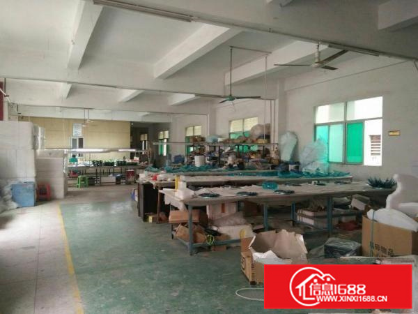（招租）惠阳秋长白石标准厂房一楼300二楼600平
