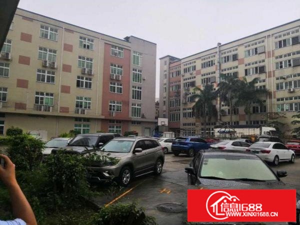 坪山碧岭原房东红本厂房出租一楼2200平二楼2400平