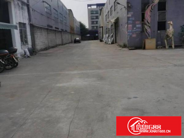 红本标准单层厂房出租