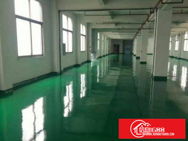 铁松工业区全新楼上1400平方厂房现成水电