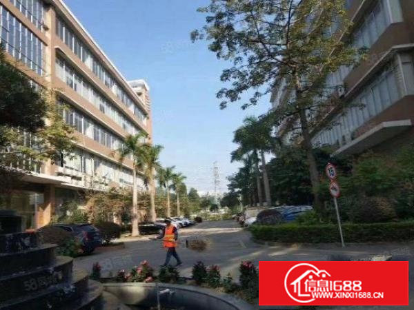 龙岗新生工业园原房东红本厂房出租1300平带装修可以分租