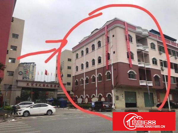大朗水霖学校大门口旁厂房出租