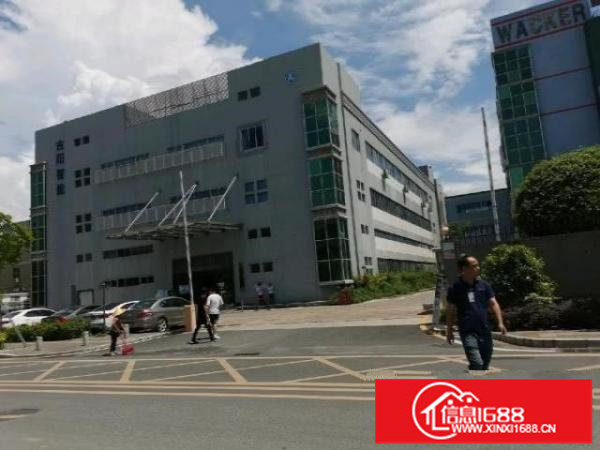 福永高大尚豪华装修厂房