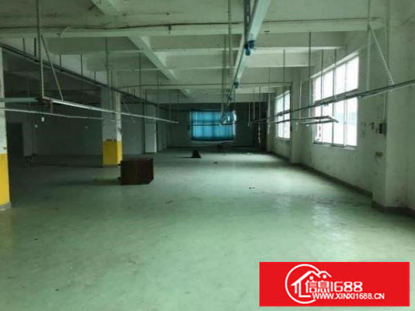 横岗坳背市场新出一楼厂房600平厂房出租