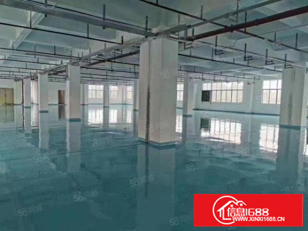 塘厦横塘独院标准2楼2200平方！全层蓝色地坪漆精装修