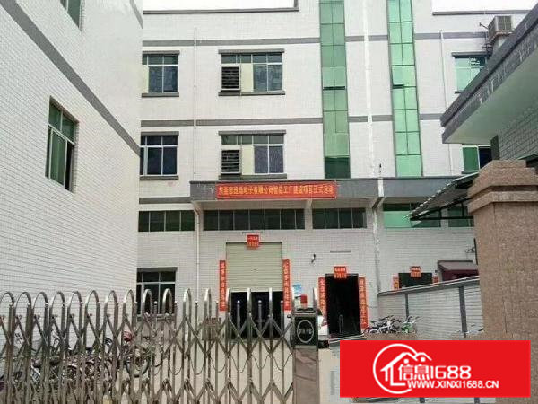 租12块，租12块茶山镇独门独院厂房分租楼上800平方招租