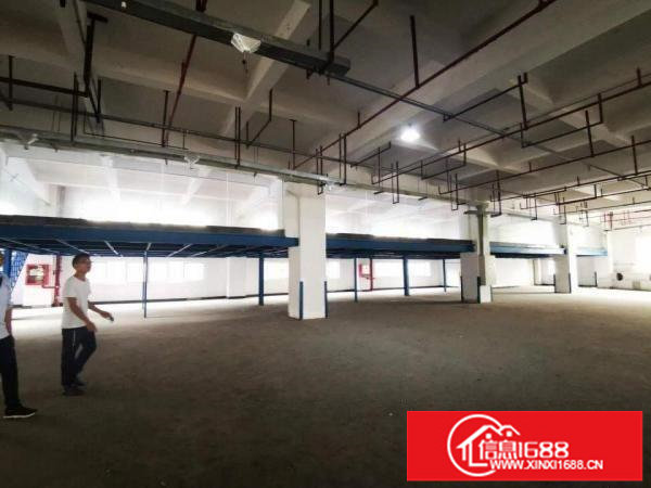 观澜樟坑径八百平带红本独门独院厂房出租一百分租整租