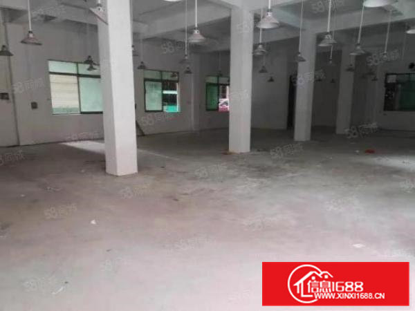 寮步横坑原房东标准独院厂房600平方出租，交通便利